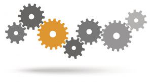 altersgemischte Führung Verzahnung