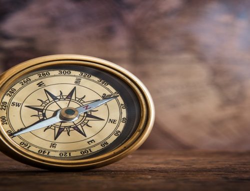 Warum manche Organisationen kaum anders entscheiden können